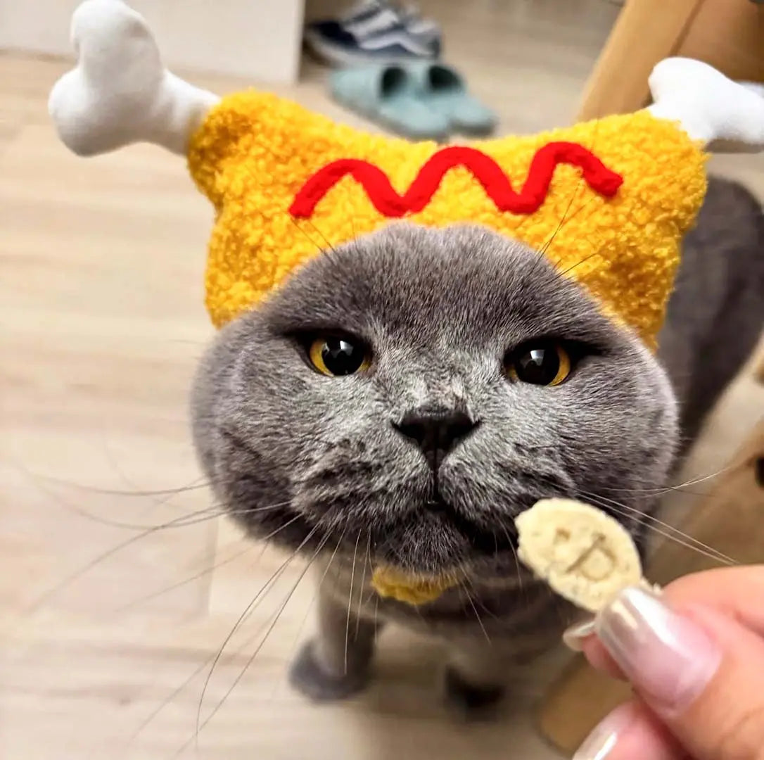 KFC Cat Hat-Kitty Fried Chicken 我的商店