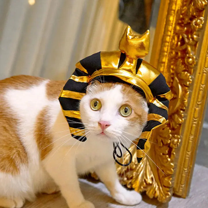 Gold shiny Pharaoh pet hat 我的商店