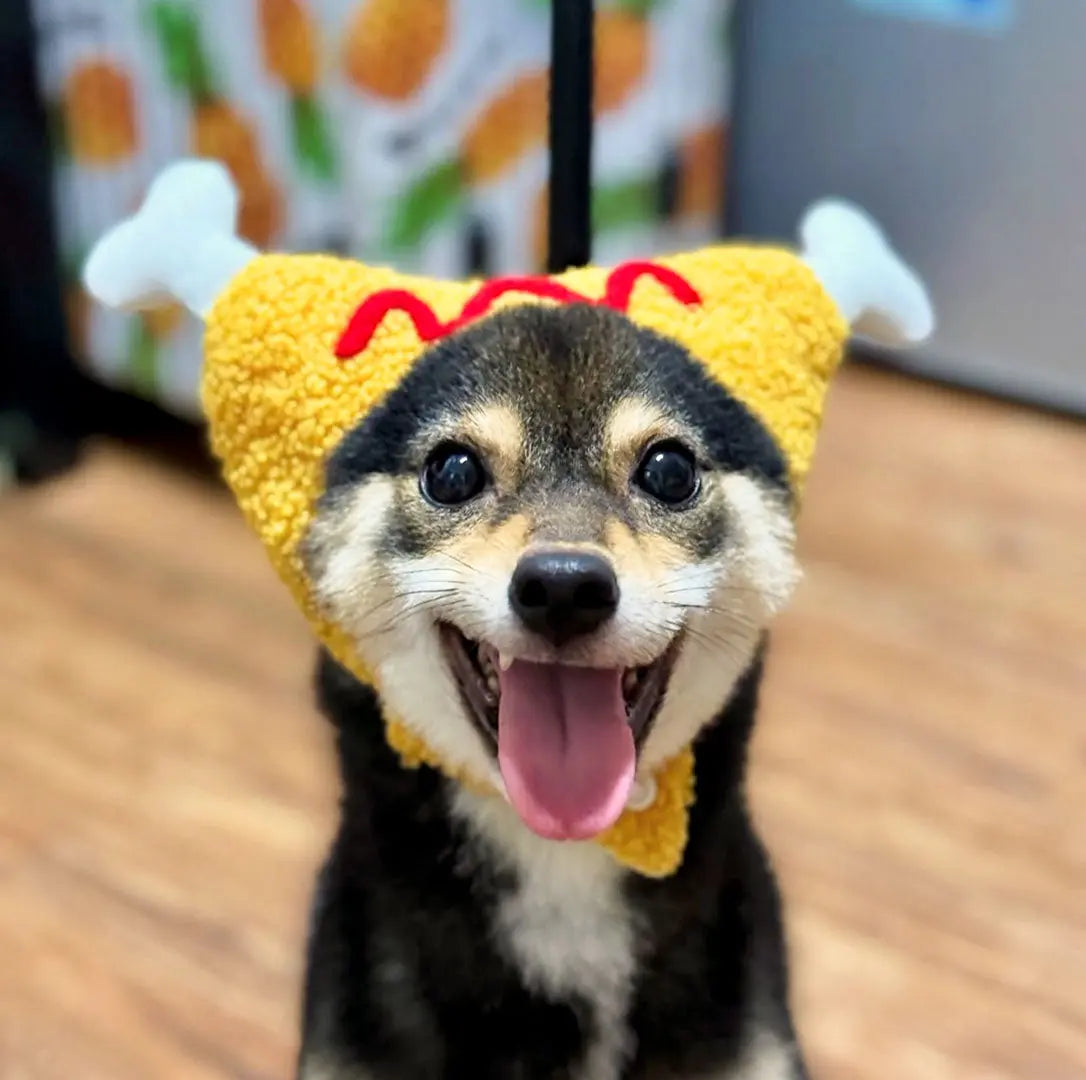 KFC Cat Hat-Kitty Fried Chicken 我的商店