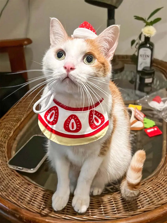 Cream Strawberry Pet Headwear 我的商店