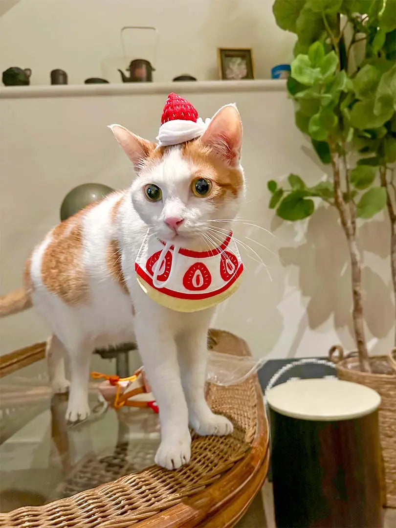 Cream Strawberry Pet Headwear 我的商店