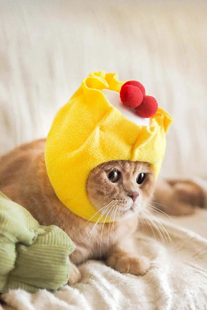 Siew Mai pet hat (Includes shrimp＋crab roe) - CatBox 毛貓盒玩