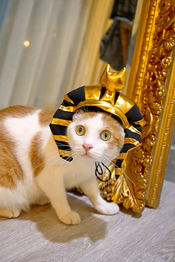 Gold shiny Pharaoh pet hat 我的商店