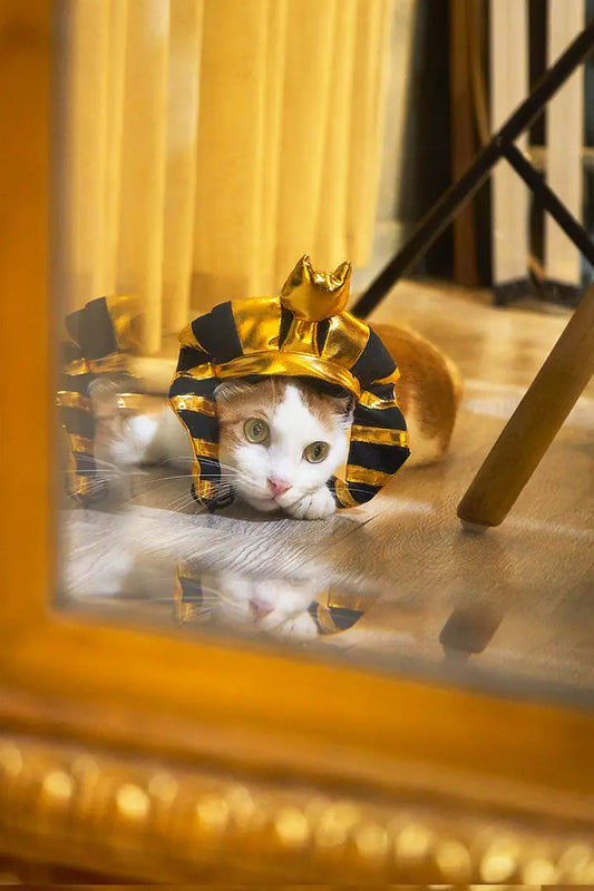 Gold shiny Pharaoh pet hat 我的商店