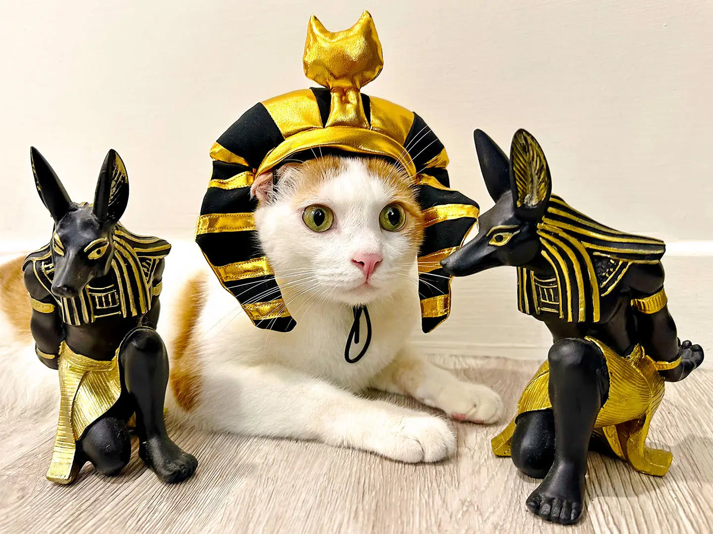 Gold shiny Pharaoh pet hat 我的商店