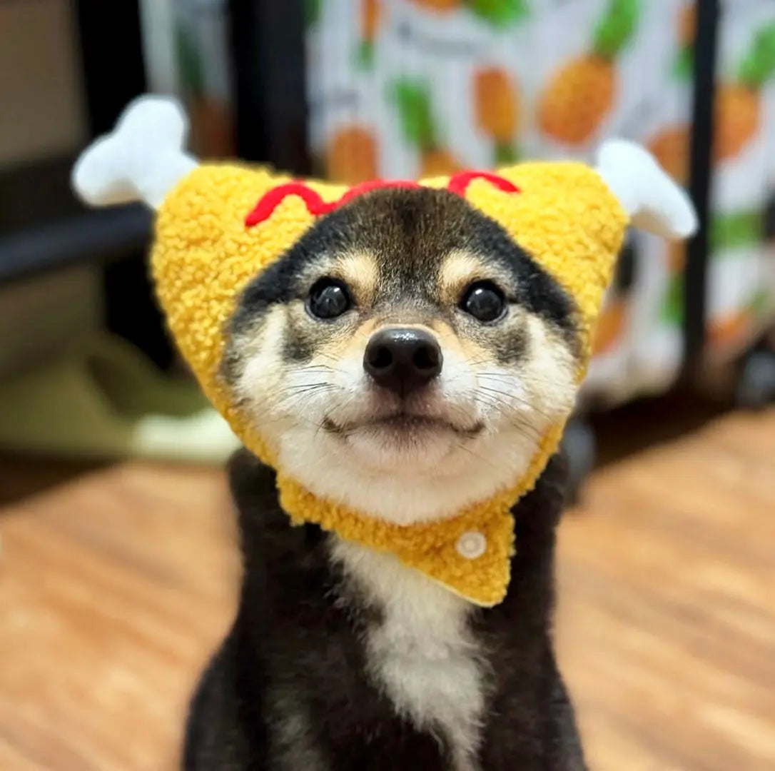 KFC Cat Hat-Kitty Fried Chicken 我的商店