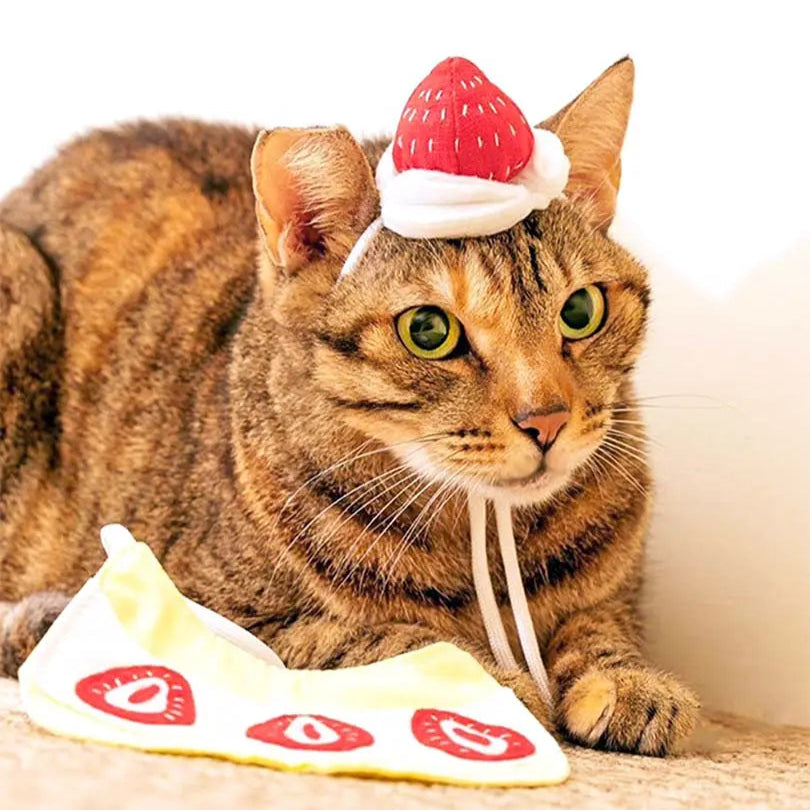 Cream Strawberry Pet Headwear 我的商店