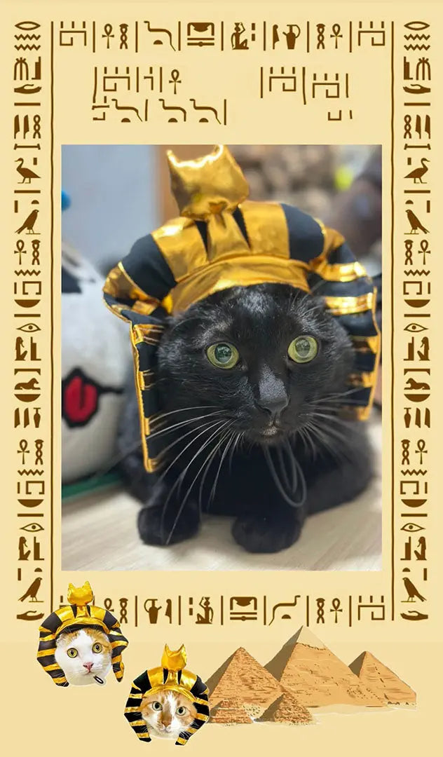 Gold shiny Pharaoh pet hat 我的商店