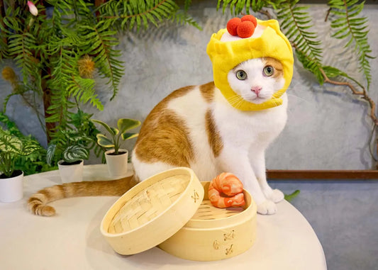 Siew Mai pet hat (Includes shrimp＋crab roe) - CatBox 毛貓盒玩