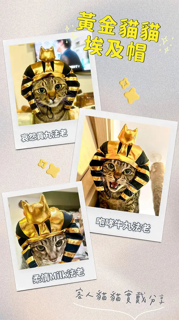 Gold shiny Pharaoh pet hat 我的商店